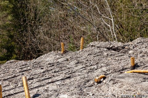 Gemeinde Mühldorfer_Hart Landkreis Mühldorf Bunkergelände Bewährung Vergoldet Detail (Dirschl Johann) Deutschland MÜ